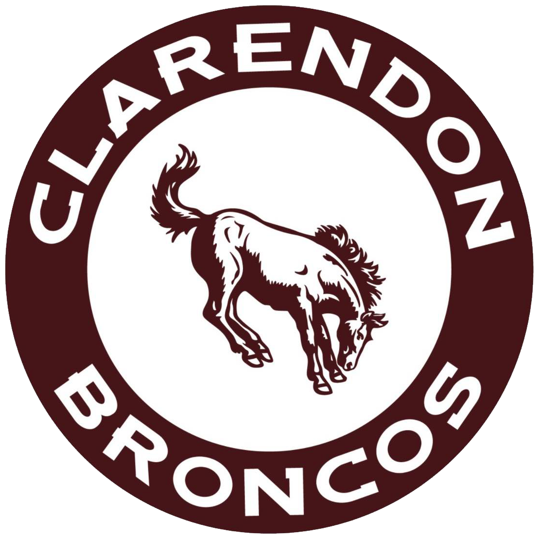 District Logo